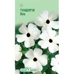 Тунбергія крилата біла /10 насінин/ *ЕлітСорт*