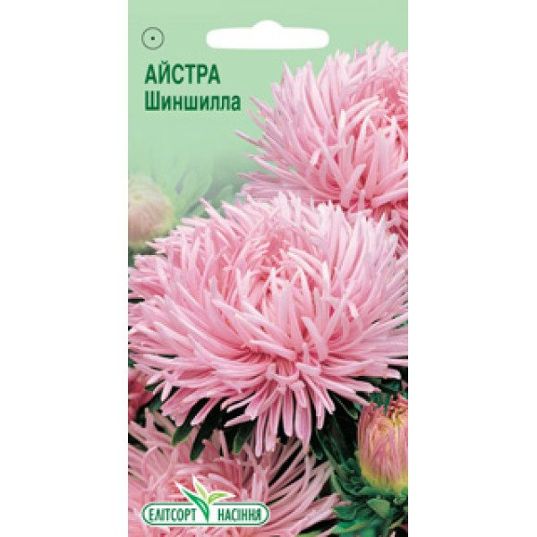 Насіння айстри Шиншилла /0,2 г/ *ЕлітСорт*