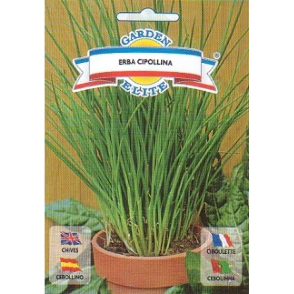 Насіння шніт-цибулі Ерба чіполліна /1,2 г/ *Galassi sementi*