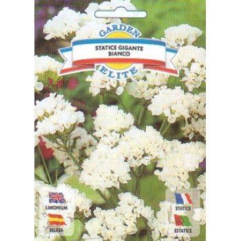 Статице Гвоздичный гигант белый /0,3 г/ *Garden Elite*