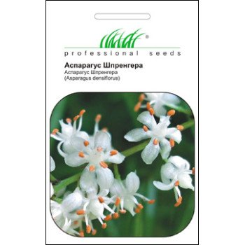 Аспарагус Шпренгера /0,5 г/ *Профессиональные семена*