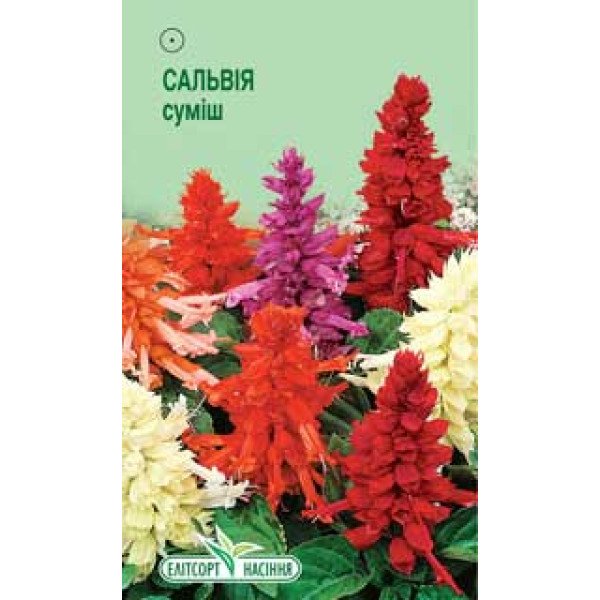 Насіння сальвії блискучої суміш /0 ,05 г/ *ЭлитСорт*