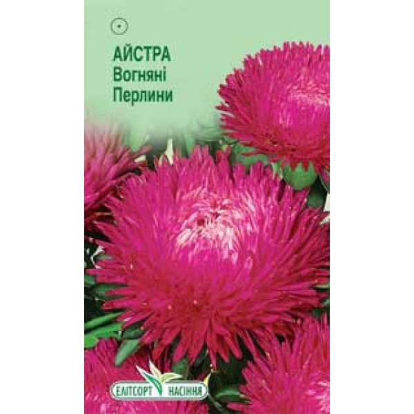Насіння айстри Вогняні Перлини /0,2 г/ *ЕлітСорт*