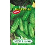 Огурец Андрус F1 /20 семян/ *ЭлитСорт*