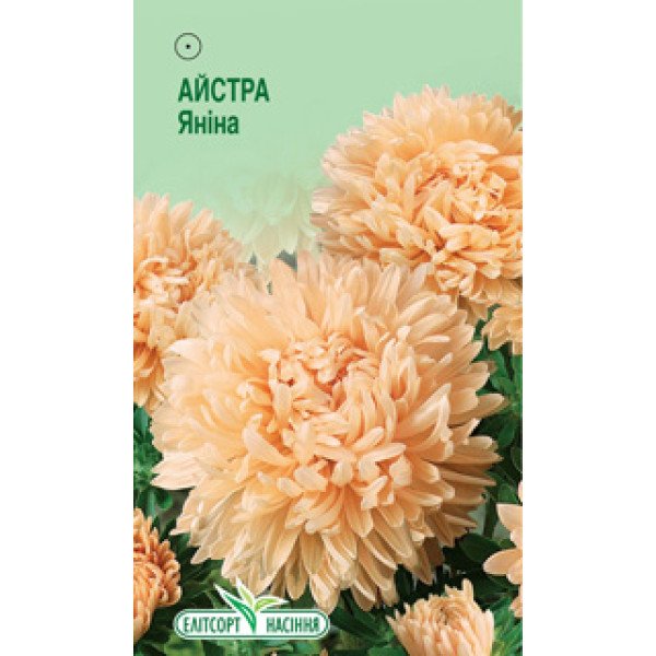 Насіння айстри Яніна /0,2 г/ *ЕлітСорт*