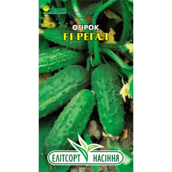 Насіння огірка Регал F1 /20 насінин/ *ЕлітСорт*