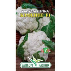 Капуста цветная Бландине F1 /20 семян/ *ЭлитСорт*
