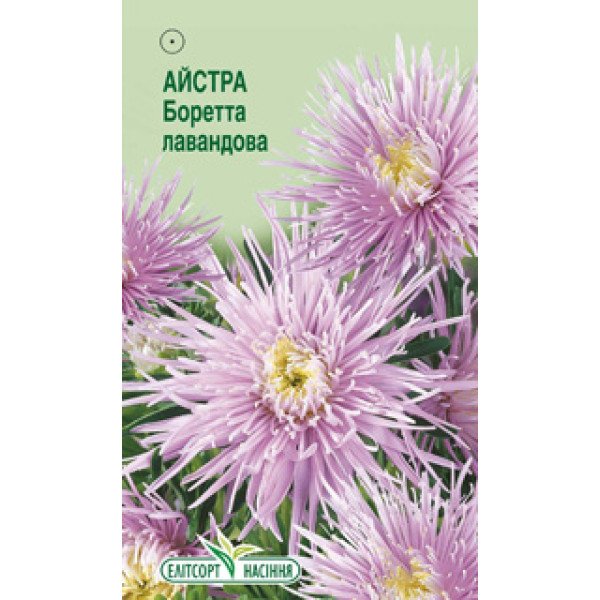 Насіння айстри Боретта лавандова /0,2 г/ *ЕлітСорт*