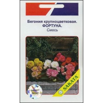 Бегонія великоквіткова Фортуна суміш /10 насінин/ *АгроПак*