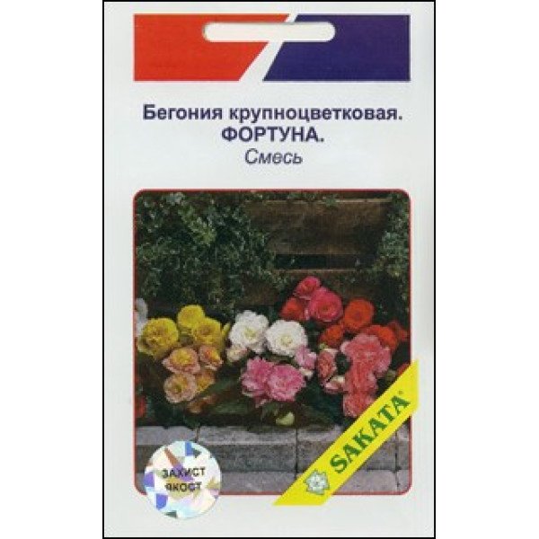 Бегония крупноцветковая Фортуна смесь /10 семян/ *АгроПак*