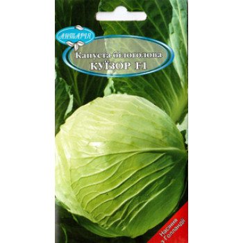 Капуста білоголова Куїзор F1 /30 насінин/ *Антарія*