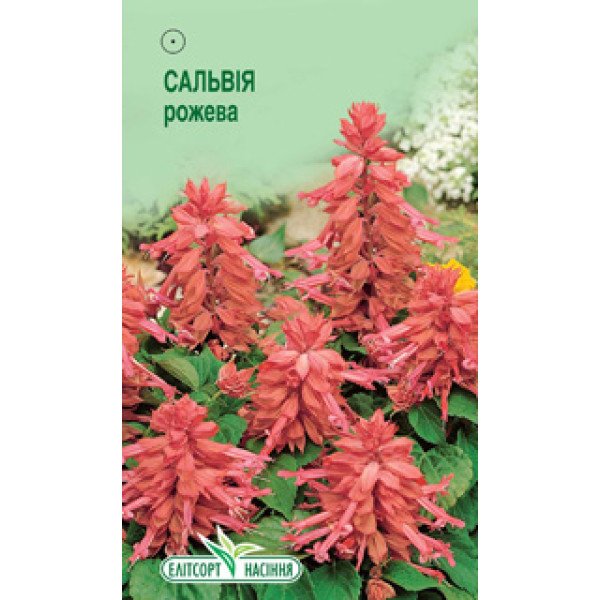 Насіння сальвії блискучої рожевої /0,1 г/ *ЭлитСорт*