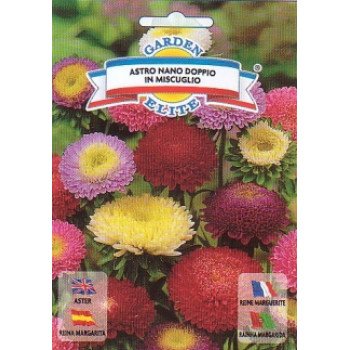Айстра карликова суміш /1 г/ *Garden Elite*