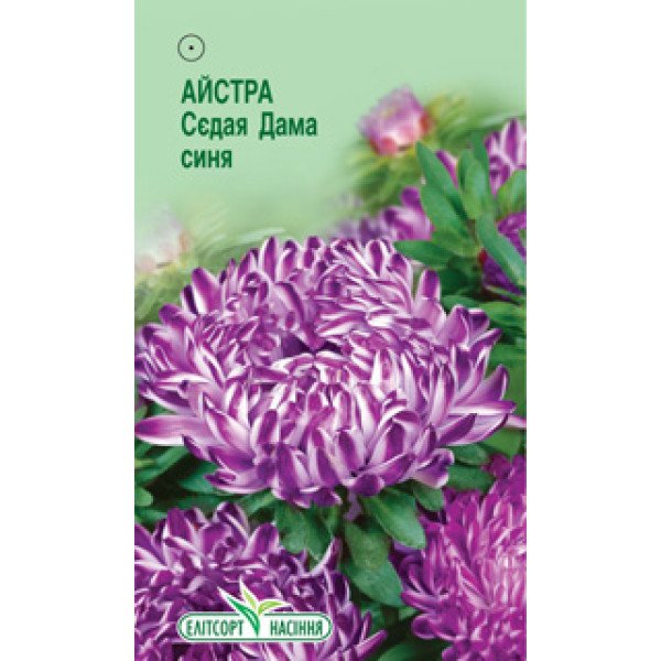 Насіння айстри Сєдая Дама синя /0,2 г/ *ЕлітСорт*