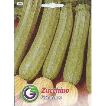 Цуккини Дженовезе /7 г/ *Galassi sementi*