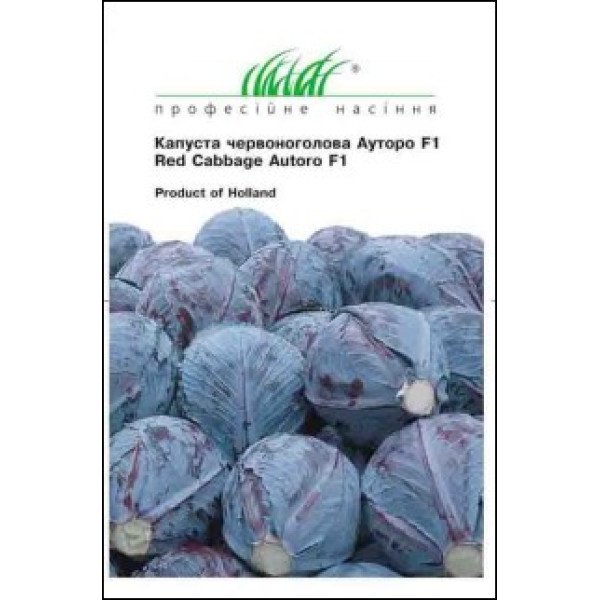 Насіння капусти червоноголової Ауторо F1 /20 насінин/ *Професійне насіння*