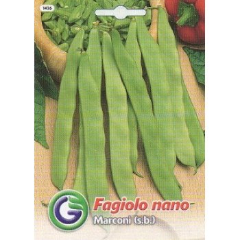 Квасоля марконі /20 г/ *Galassi sementi*