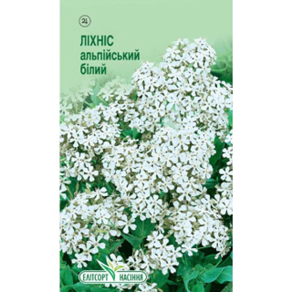 Семена лихниса альпийского белого /0,1 г/ *ЭлитСорт*