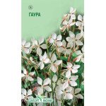Гаура белая /30 семян/ *ЭлитСорт*