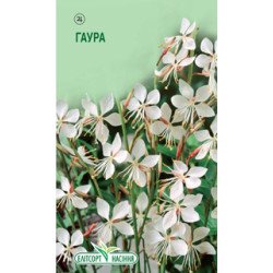 Гаура белая /30 семян/ *ЭлитСорт*