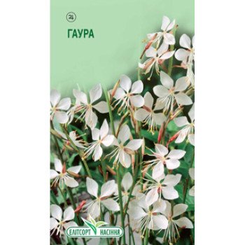 Гаура белая /30 семян/ *ЭлитСорт*