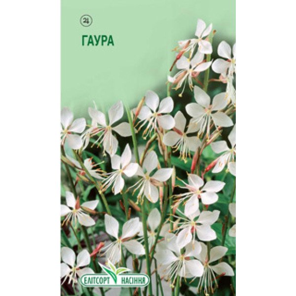 Семена гауры белой /30 семян/ *ЭлитСорт*