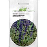 Шалфей лекарственный /0,3 г/ *Профессиональные семена*
