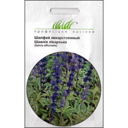 Шалфей лекарственный /0,3 г/ *Профессиональные семена*