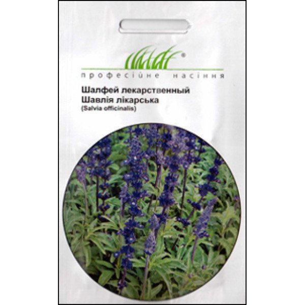 Семена шалфея лекарственного /0,3 г/ *Профессиональные семена*