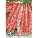 Фасоль ред топ /20 г/ *Galassi sementi*