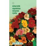 Красоля карликова махрова суміш /10 насінин/ *ЕлітСорт*