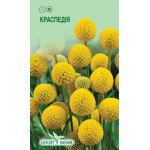 Краспедия желтая /0,05 г/ *ЭлитСорт*