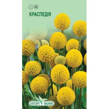 Краспедия желтая /0,05 г/ *ЭлитСорт*