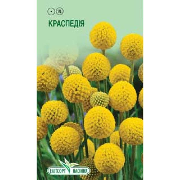 Семена краспедии желтой /0,05 г/ *ЭлитСорт*