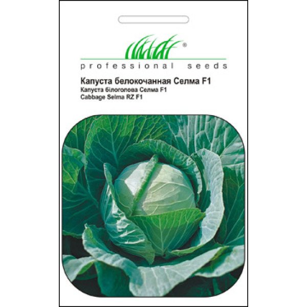 Насіння капусти білоголової Селма F1 /20 насінин/ *Професійне насіння*