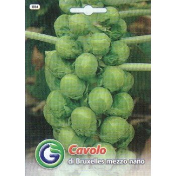 Капуста брюссельская Трембита /4 г/ *Galassi sementi*