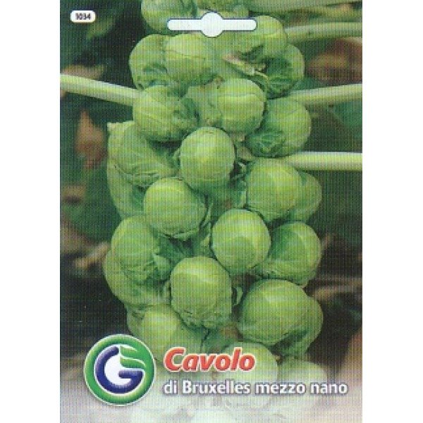 Семена капусты брюссельской Трембита /4 г/ *Galassi sementi*