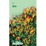 Міна лопатева /10 насінин/ *ЕлітСорт*