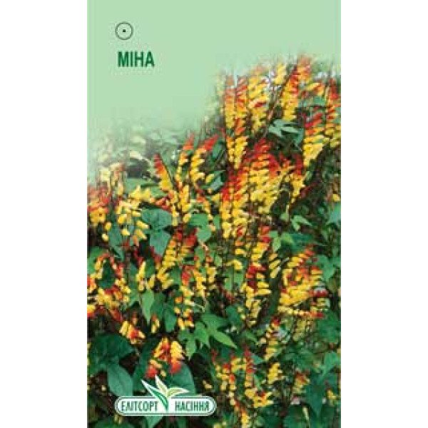 Насіння міни лопатевої /10 насінин/ *ЕлітСорт*