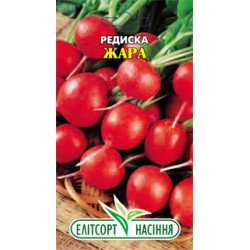 Редиска Жара /3 г/ *ЕлітСорт*