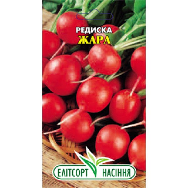 Насіння редиски Жара/3 г/ *ЕлітСорт*