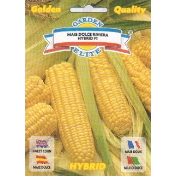 Кукуруза сахарная Ривьера F1 /3,5 г/ *Galassi sementi*
