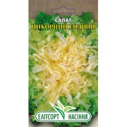 Цикорный салат Эндивий зимний /1 г/ *ЭлитСорт*