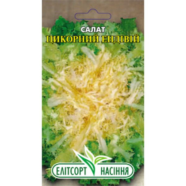 Насіння цикорного салату Ендивій зимовий /1 г/ *ЕлітСорт*