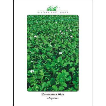 Конюшина декоративна Ліфлекс /50 г/ *Професійне насіння*