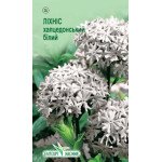 Лихнис халцедонский белый /0,2 г/ *ЭлитСорт*