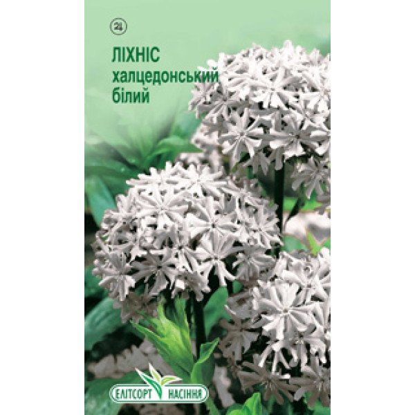 Семена ліхніса халцедонского белого /0,1 г/ *ЭлитСорт*