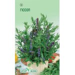 Гісоп /0,2 г/ *ЕлітСорт*