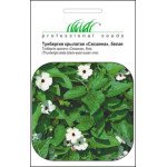 Тунбергія крилата Сюзанна біла /0,2 г/ *Професійне насіння*