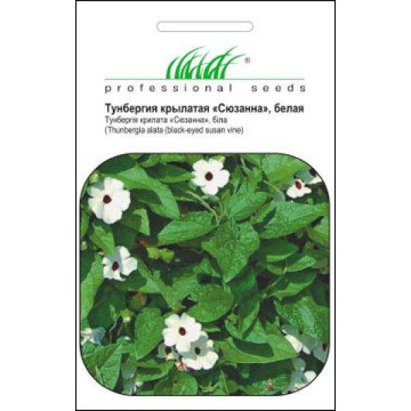 Семена тунбергии крылатой Сюзанна белая /0,2 г/ *Профессиональные семена*
